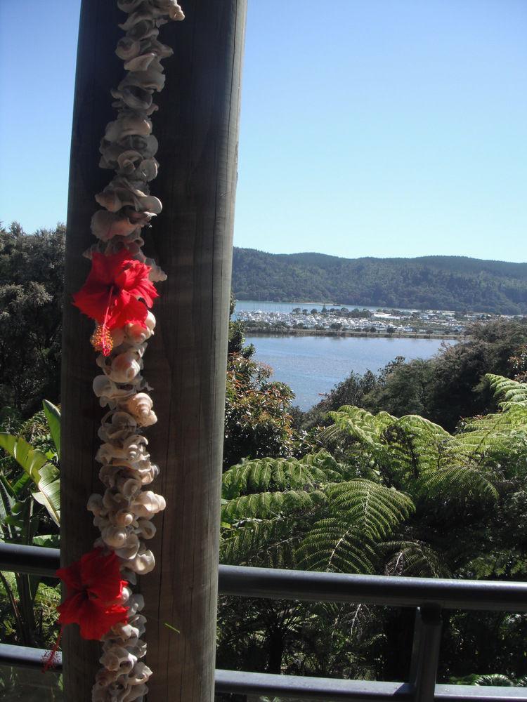 Whangamata Vistas B&B Exteriör bild